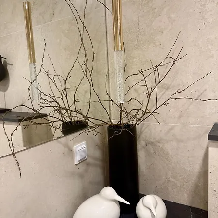 Apartment Infinity Senso330 *